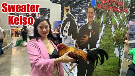 GAMEFOWL 2024 .